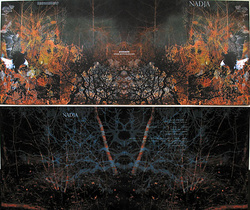 Album cover for Thaumoradiance by Nadja