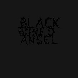 Album cover for BLISS & VOID INSEPARABLE by Black Boned Angel