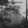 In the Heart of the Rainforest / Through the Forest to Spiritual Enlightenment by Striborg