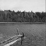 Vordr