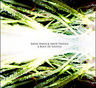 Cd-feature-aidan-baker-jaokob-thiesen-bout-de-souffle-cd-feature-aidan-baker-bout-de-souffle-aidan_baker_jakob_thiesen_a_bout_de_souffle_waterscape