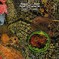 Album cover for Camouflage by Merzbow