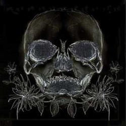 Album cover for Belles Bêtes by Nadja