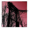 Accidents_with_nature_and_each_other-harris_newman_480